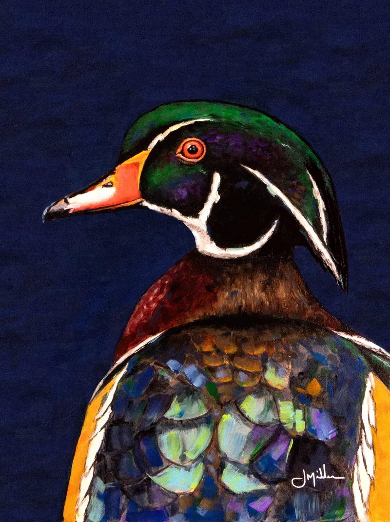 Drake Wood Duck, painting by Jeff Miller